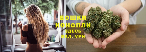 молекула духа Инта