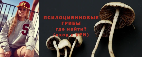 стаф Инсар