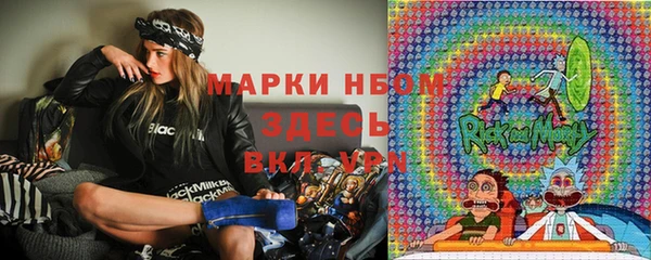 стаф Инсар