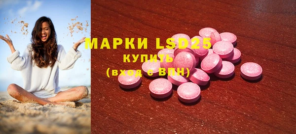 стаф Инсар