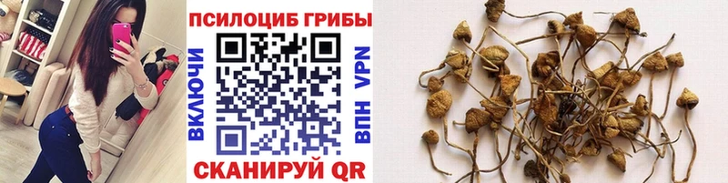Псилоцибиновые грибы ЛСД Купить закладки Звенигород